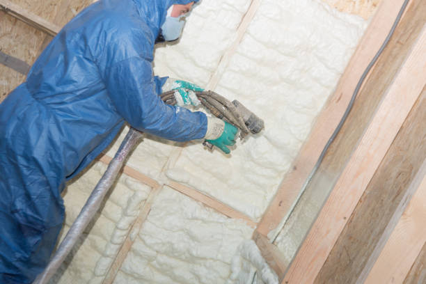 Types of Insulation We Offer in Palo, IA